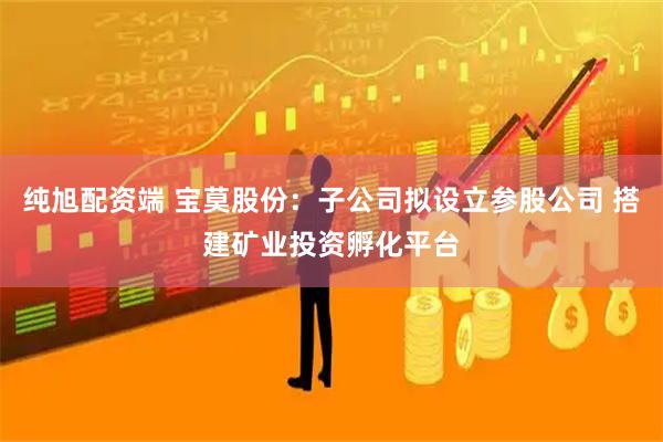 纯旭配资端 宝莫股份：子公司拟设立参股公司 搭建矿业投资孵化平台